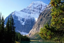 天涯神贴大赏：那些让网友熬夜刷楼的经典贴子