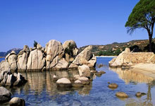 天涯神贴大赏：那些让网友熬夜刷楼的经典贴子